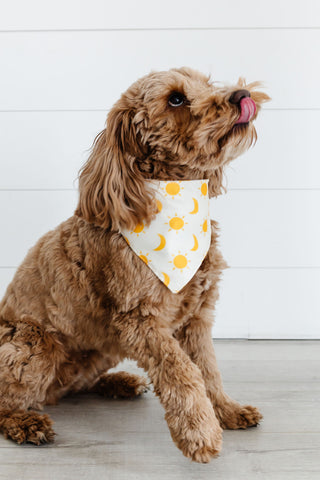 Sun & Moon Pet Bandana + Scrunchie