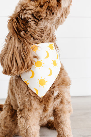 Sun & Moon Pet Bandana + Scrunchie