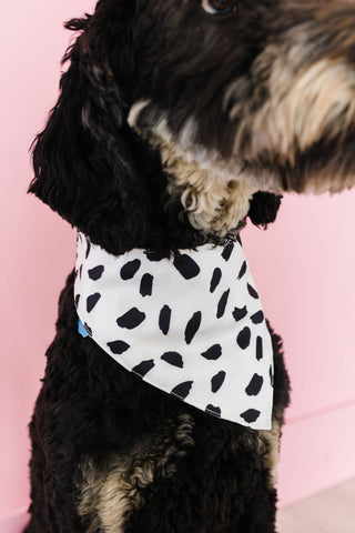 Spotted Pet Bandana - Pet Bandanas - ANDI