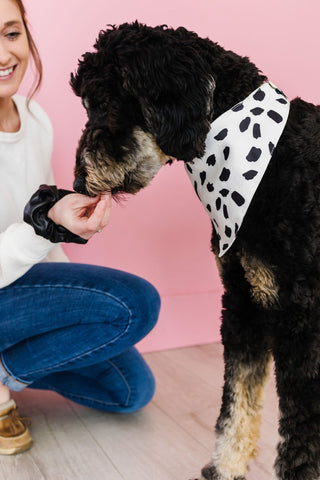 Spotted Pet Bandana - Pet Bandanas - ANDI